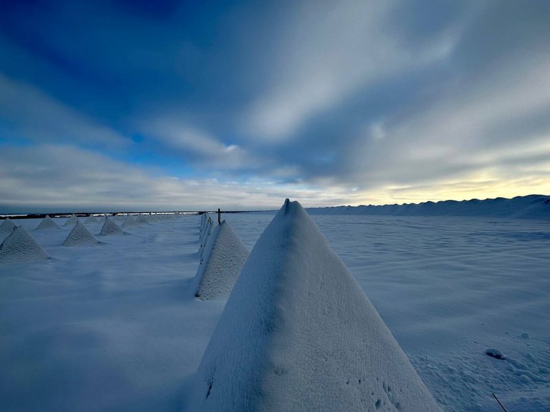 засечная черта белгородская область