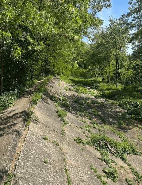 траса опеля історія фрн
