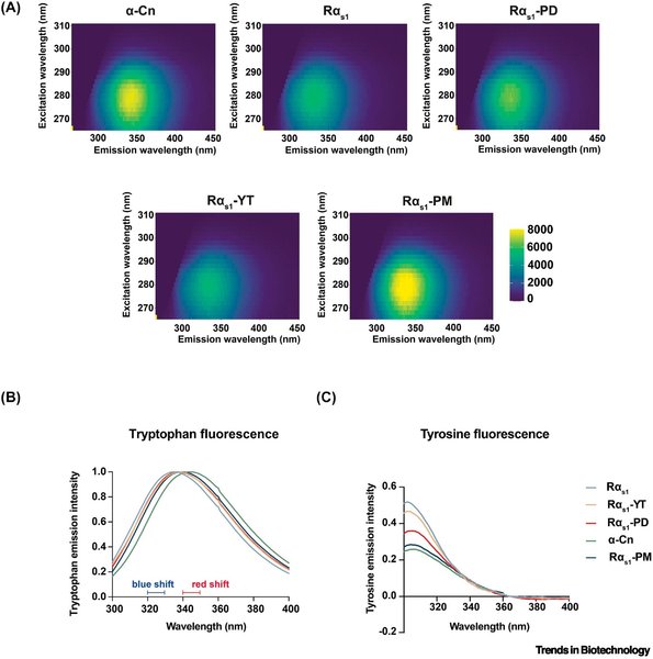 производство казеина