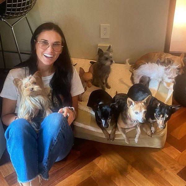 Деми Мур, собаки, домашние животные