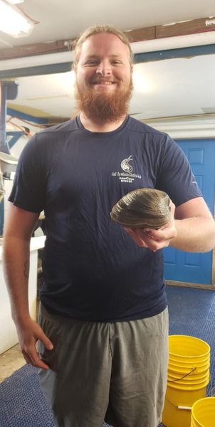 величезний молюск