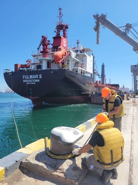 балкер, корабль, сухогруз, FULMAR S