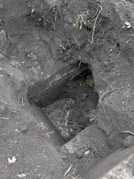 Знахідка сад