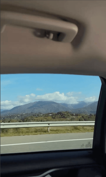 Украинка пожила в Грузии полгода