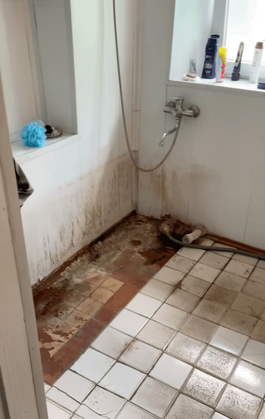 Українка купила будинок у селі