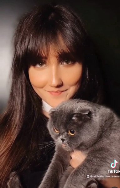 Victoria Niro Домашние любимцы Victoria Niro Всемирный день домашних животных, Всемирный день домашних животных когда, 30 ноября — Всемирный день домашних животных, домашние любимцы, домашние животные