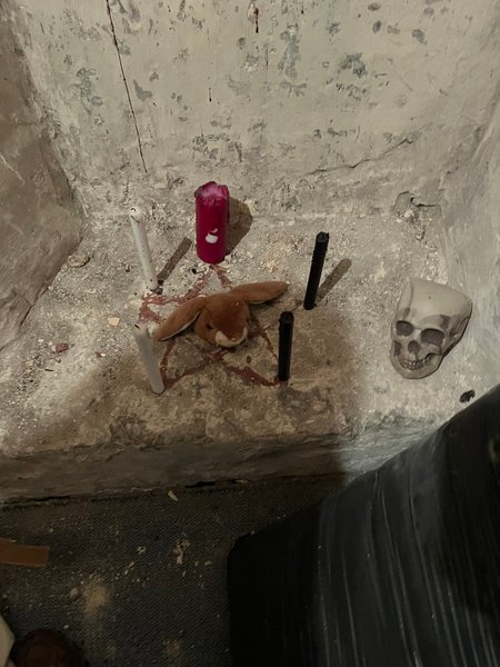 Студенти знайшли таємну кімнату, секретне приміщення в гуртожитку, курйози, знахідки, фото