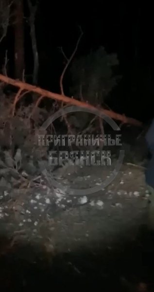 Брянская область, атака 17 января, Точка-У