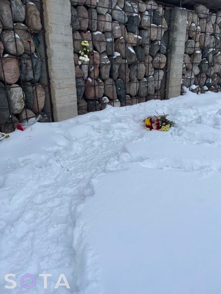 Затримання, мітинг, протест, Олексій Навальний, російський опозиціонер