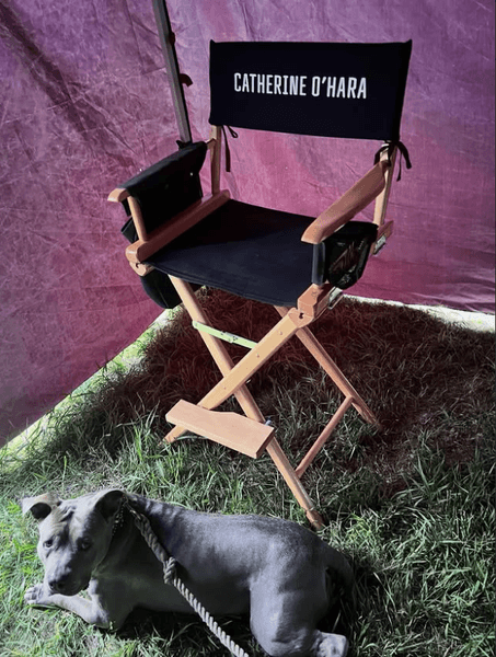 джастін теру кетрін о'гара крісло