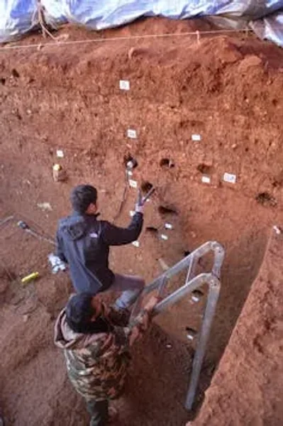 розкопки, археологія, археолог, дослідження, артефакти