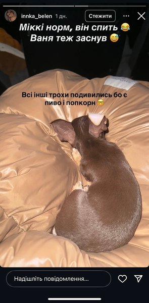 Інна Бєлєнь опублікувала розгромний відгук на 10 блогерят