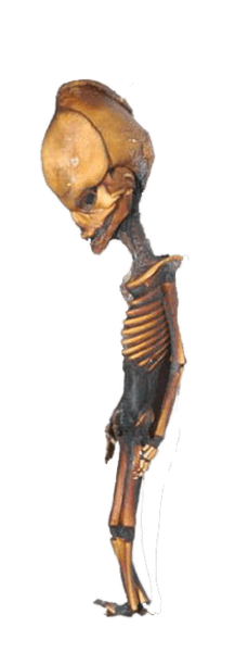 Гуманоид Атакамы