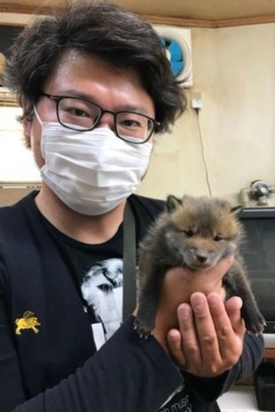 Мужчина принял лису за щенка, щенок, лиса, лисенок, лиса по имени Луна, животные, соцсети, курьезы,