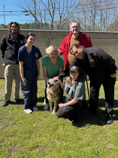 фото возвращения собаки