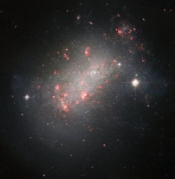 галактика NGC 1156
