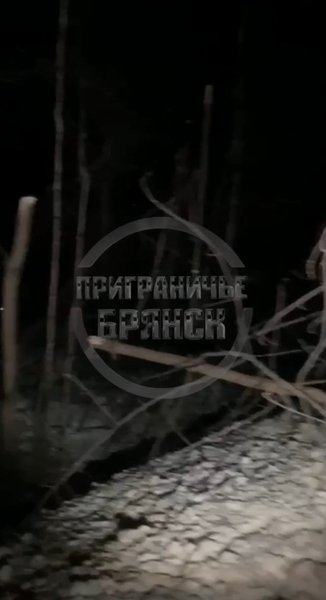 Брянская область, атака 17 января, Точка-У, последствия