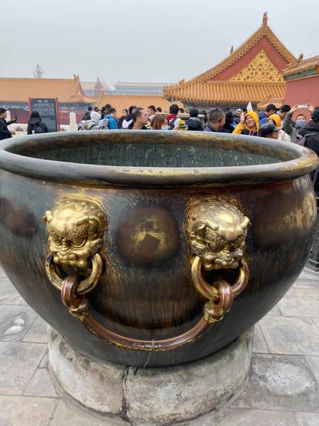 Юрий Луценко, Китай, Ирина Луценко