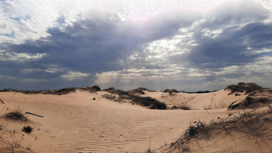 Алешковские пески, Олешковские пески, пустыня в Украине, дюны