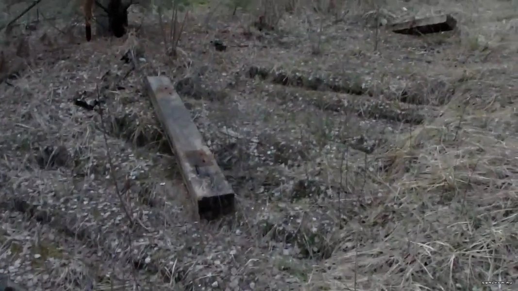 Состояние базы на 2017 год