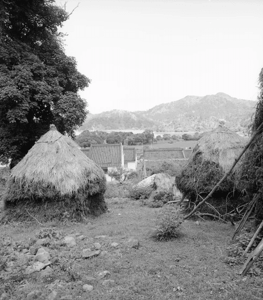 Лай-Чи-Во, деревня в Китае, заброшенная деревня, поселение, деревня с историей, жители возвращаются в деревню, покинули дома