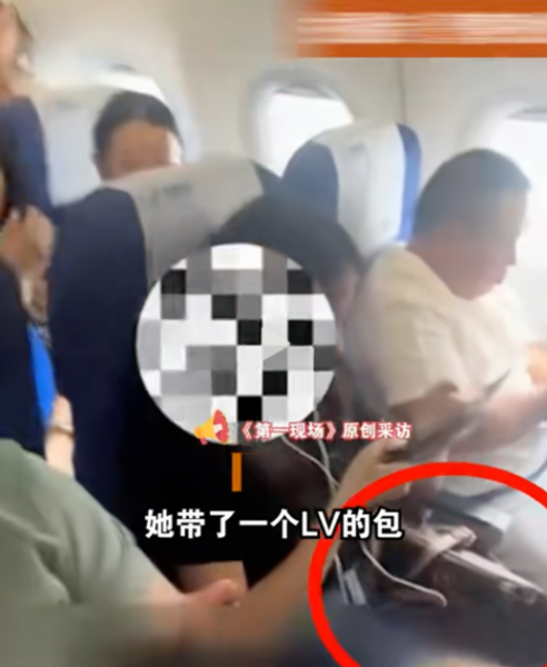 Женщину сняли с самолета из-за того, что она не хотела ставить свою сумочку на пол, скандал на борту лайнера