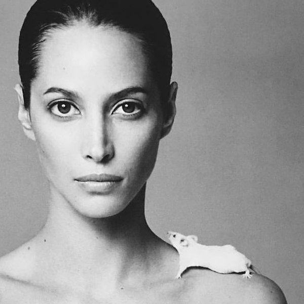 Кристи Тарлингтон