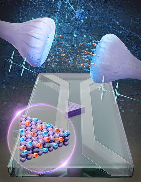 синапс мозг