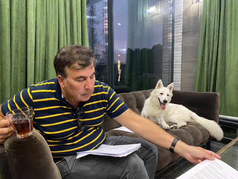 Саакашвили, ясько, михеил саакашвили и лиза ясько, елизавета ясько, слуга народа, роман ясько саакашвили