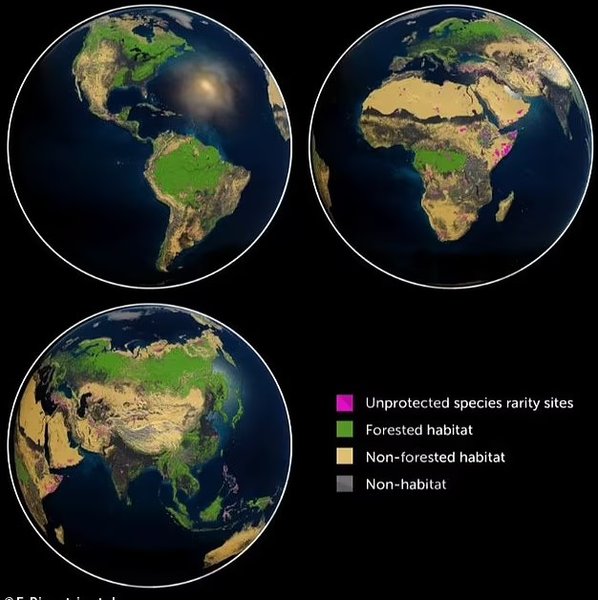 земля масове вимирання