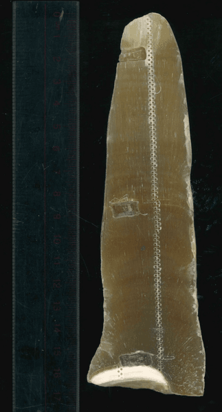 Сталагміт став екологічним архівом