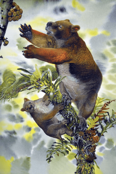 викопні скелети, вимерлі тварини, спосіб життя, навколишнє середовище, аналіз, викопні кістки, ріст, розвиток, сумчасті, Німбадон, зона Світової спадщини Ріверслі, деревні ссавці