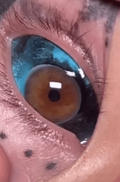 Самая татуированная женщина Австралии