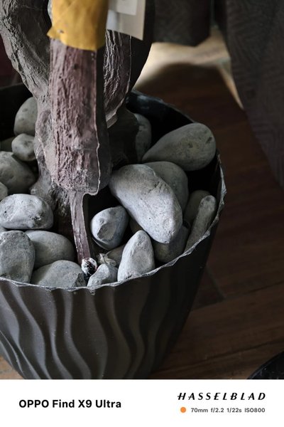 Приклади фото на Oppo Find X9 Ultra