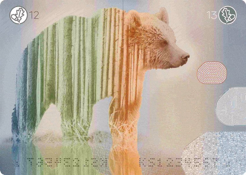 Эстония, паспорт, дизайн, ID-карточка, звери