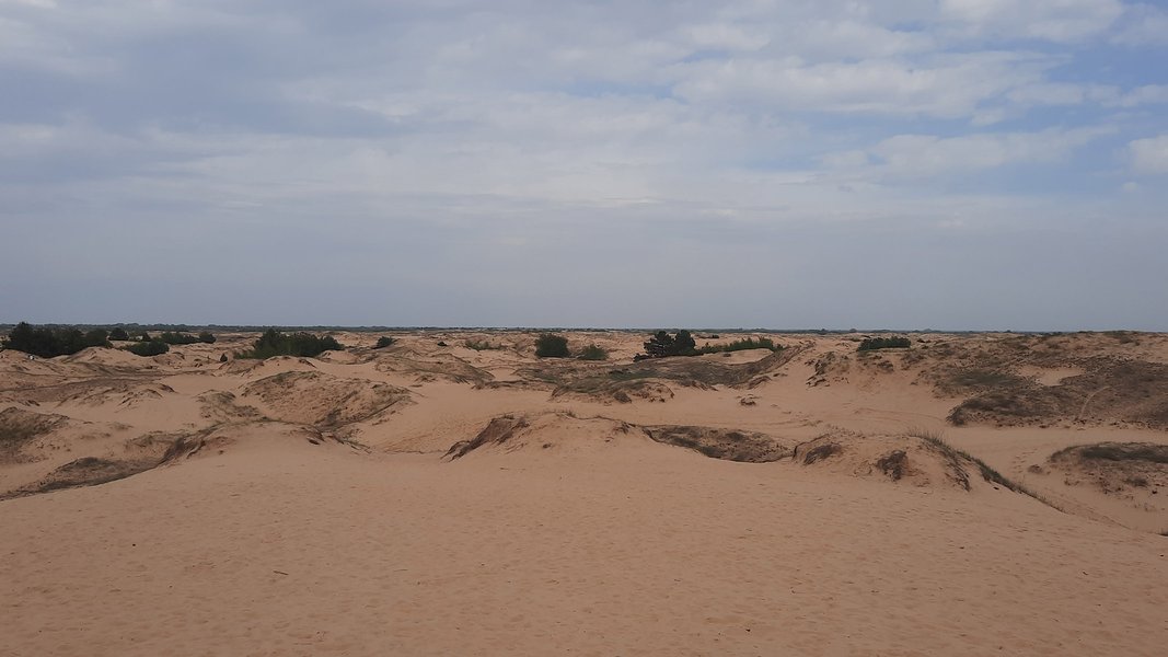 Алешковские пески, Олешковские пески, пустыня в Украине, дюны