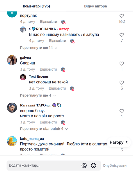 Комментарии пользователей сети Комментарии пользователей сети