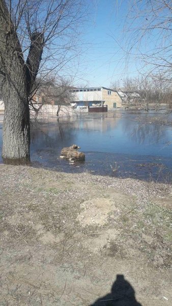 Село Демидов