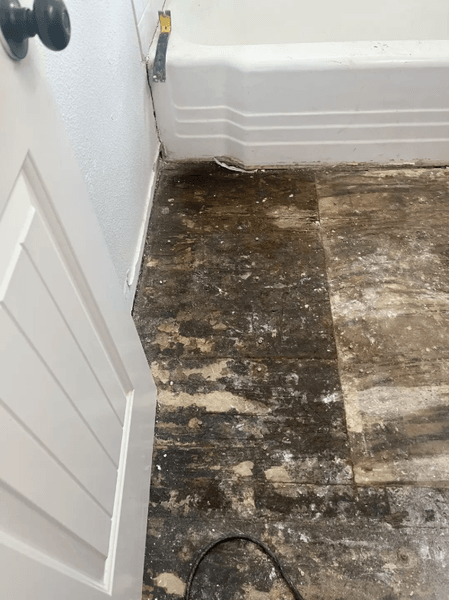 Скрытая плесень и поврежденный пол в ванной комнате дома в Техасе