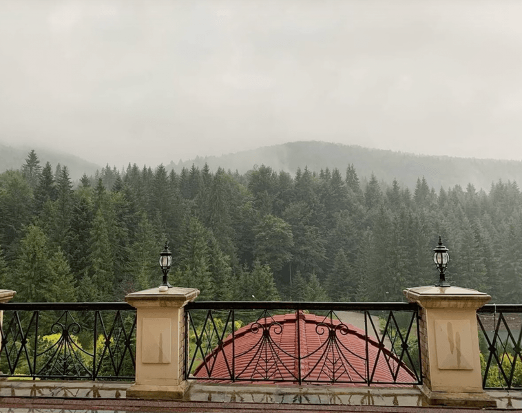 Синегора, Ермак, Зеленский, день рождения