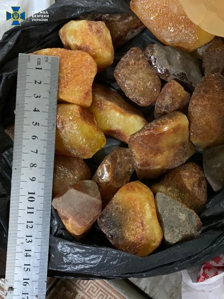 янтарь, сбыт, копатели, житомирская область, сбу