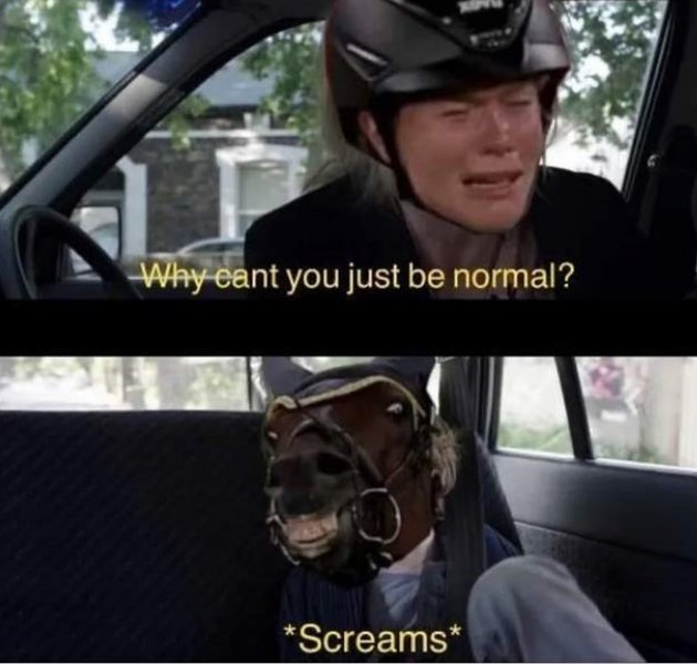 Анника Шлеу, Saint Boy, лошадь,