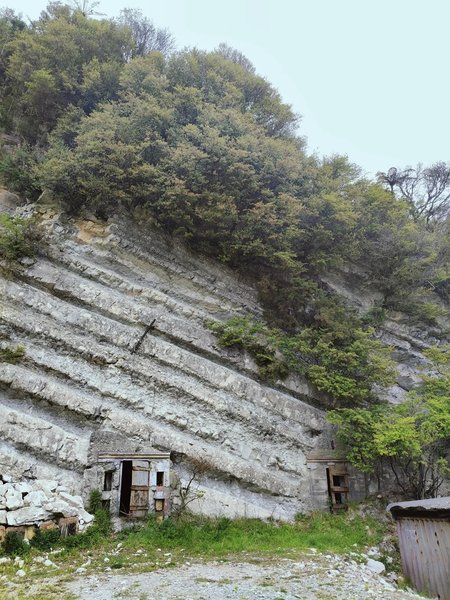 туннель новая зеландия