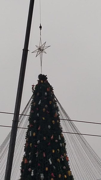 елка, киев, шляпа, звезда, новый год