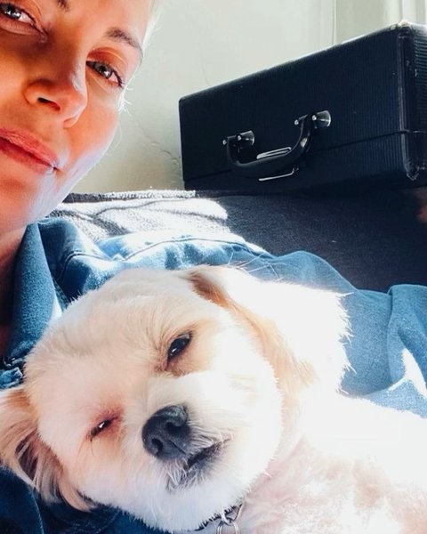 Шарлиз Терон, собаки, домашние питомцы, домашние животные