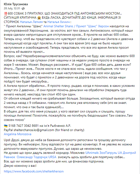 собаки, притулок, херсон, притулок для собак у херсоні, антонівський міст, притулок для собак шанс, притулок шанс у херсоні