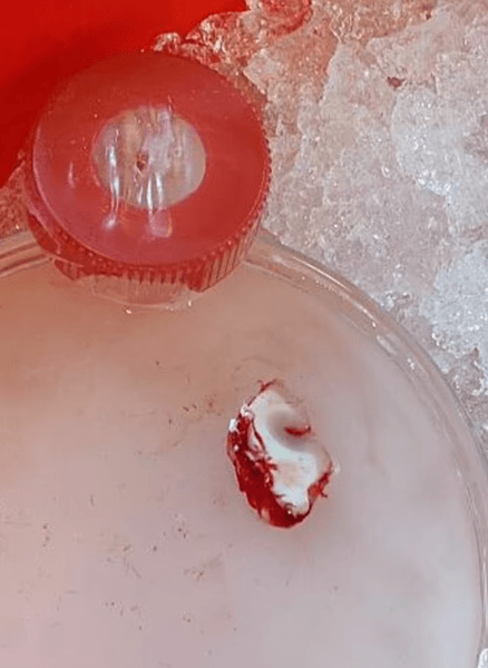 мозок, людина