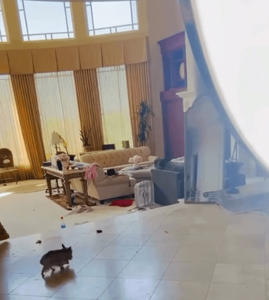 Дом Бритни Спирс в беспорядке