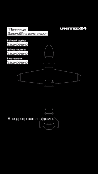 Данные о ракете-дроне Палянице