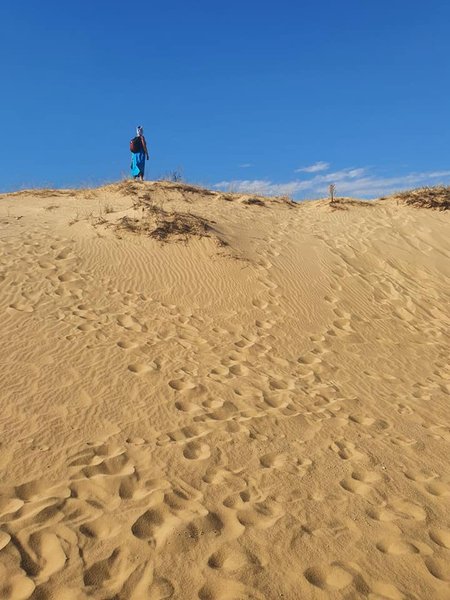 Пейзажи Херсонщины напоминают пустыню